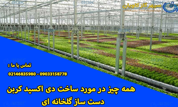 همه چیز در مورد ساخت دی اکسید کربن co2 دست ساز گلخانه ای